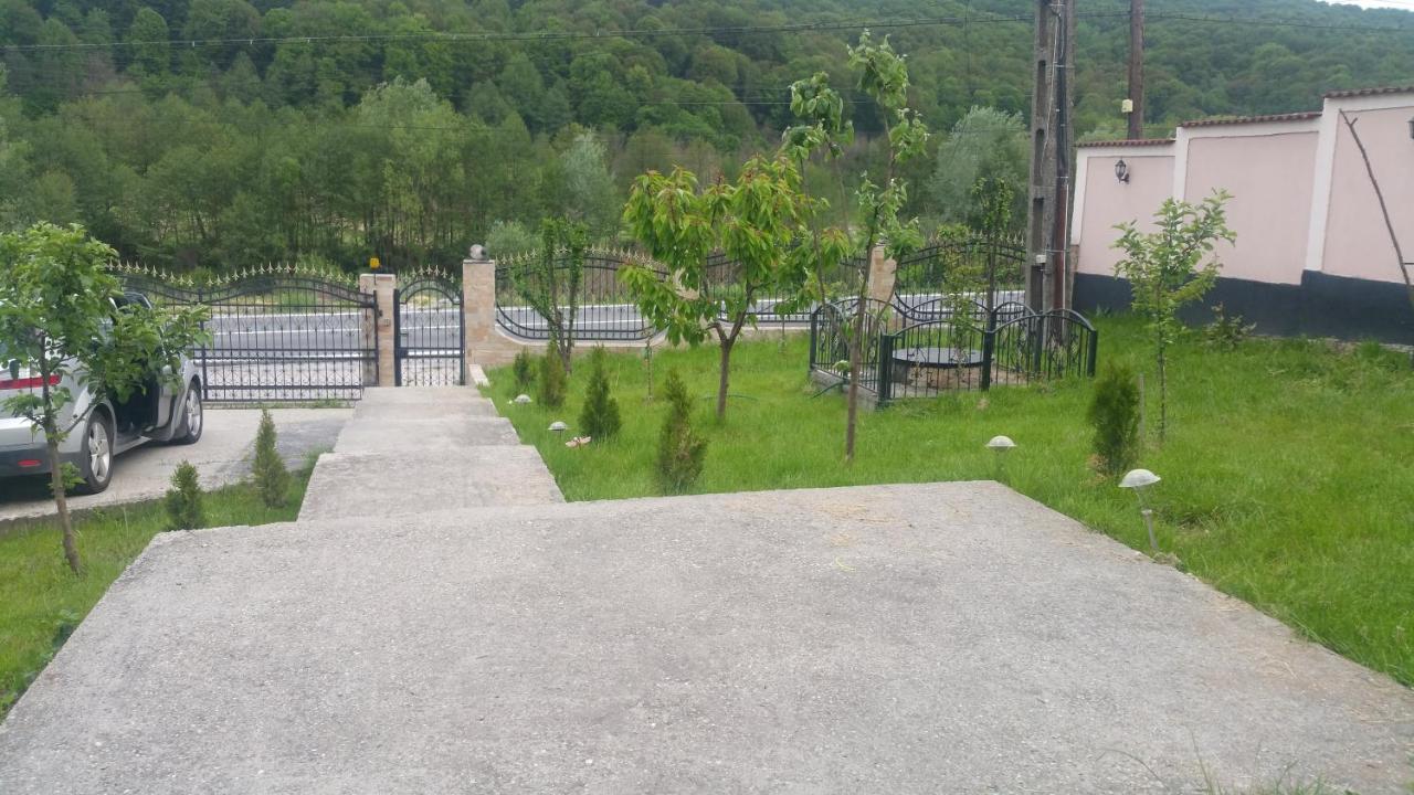 Casele Lena Bed and Breakfast Aldesti  Esterno foto