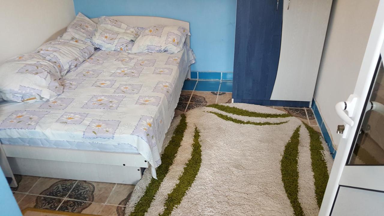 Casele Lena Bed and Breakfast Aldesti  Esterno foto