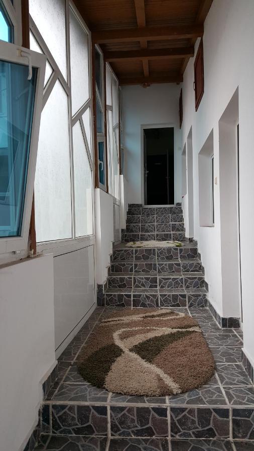 Casele Lena Bed and Breakfast Aldesti  Esterno foto