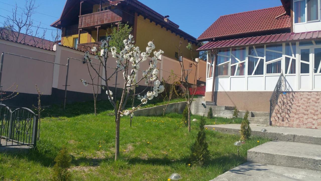 Casele Lena Bed and Breakfast Aldesti  Esterno foto