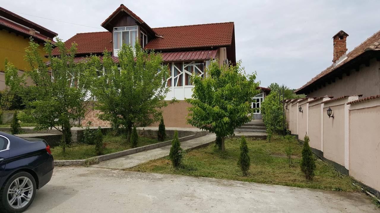 Casele Lena Bed and Breakfast Aldesti  Esterno foto
